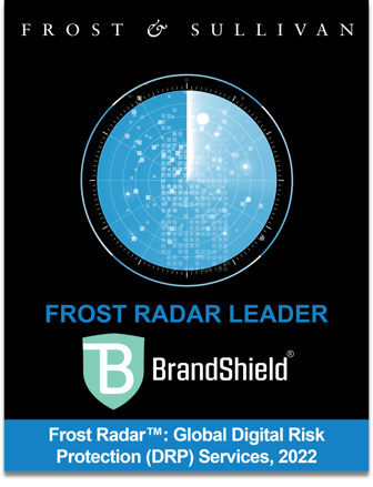 FR_Banner - DRP 2022 - BrandShield (1)